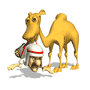:camel